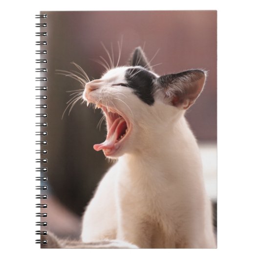Funny Cat Yawning Notitieboek (Voorkant)