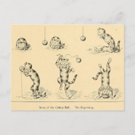 Funny Catnip Cat Briefkaart