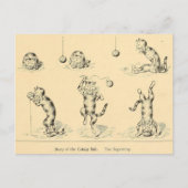  Funny Catnip Cat Briefkaart (Voorkant)