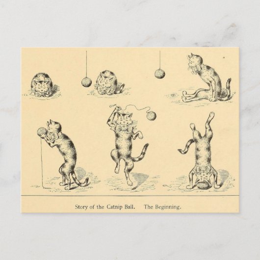  Funny Catnip Cat Briefkaart (Voorkant)