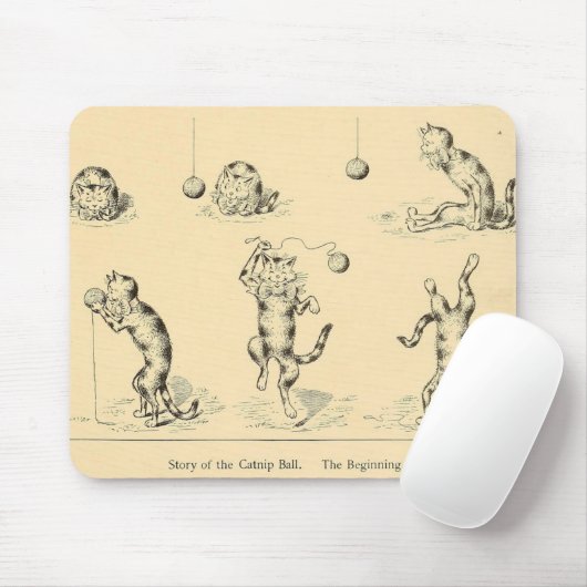 Funny Catnip Cat Muismat (Met muis)