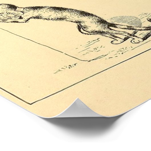 Funny Catnip Cat Poster (Hoek)