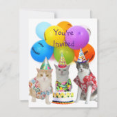 Funny Cats Birthday Party Invitation Kaart (Voorkant)