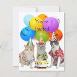 Funny Cats Birthday Party Invitation Kaart