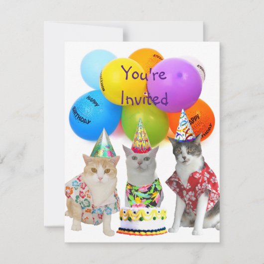  Funny Cats Birthday Party Invitation Kaart (Voorkant)