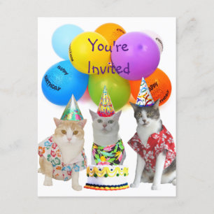 Funny Cats Birthday Party Invitation Kaart