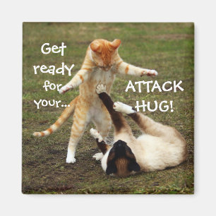 Funny Cats Caption Attack Hug Magneet