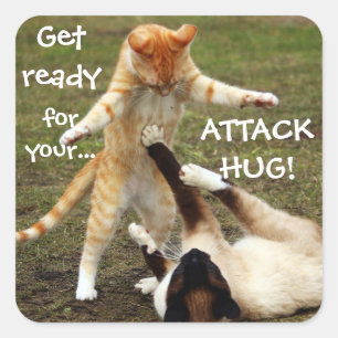 Funny Cats Caption Attack Hug Vierkante Sticker