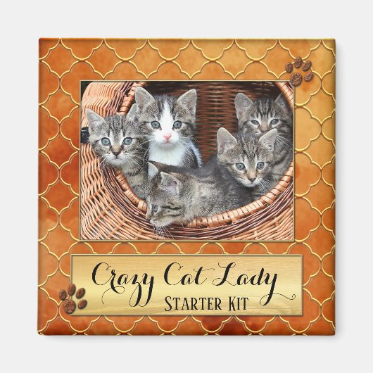 Funny Cats Crazy Cat Lady Photo Magnet (Voorkant)
