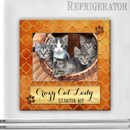 Funny Cats Crazy Cat Lady Photo Magnet