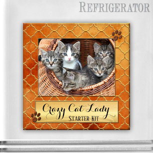 Funny Cats Crazy Cat Lady Photo Magnet