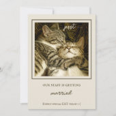 Funny Cats Custom Photo Engagement Party Kaart (Voorkant)