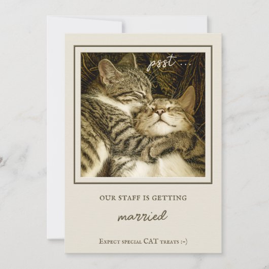 Funny Cats Custom Photo Engagement Party Kaart (Voorkant)