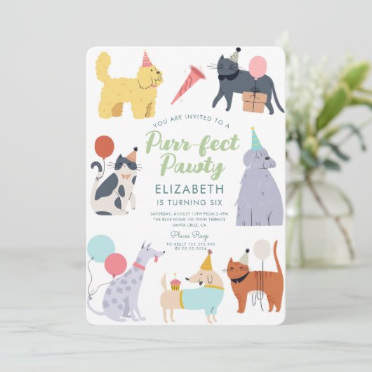 Funny Cats Dogs Spint-effect Birthday Pawty Kaart (Staand voorkant)