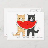 Funny Cats Eating Watermelon Briefkaart Funny Cats (Voorkant / Achterkant)