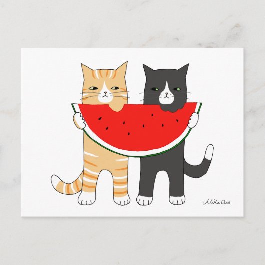 Funny Cats Eating Watermelon Briefkaart Funny Cats (Voorkant)