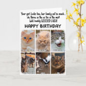 Funny Cats Expressions Verjaardag Wenskaart Kaart (Gele Bloem)