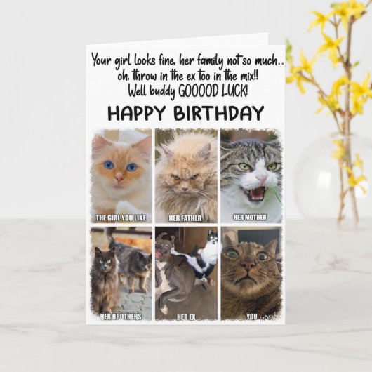 Funny Cats Expressions Verjaardag Wenskaart Kaart (Gele Bloem)