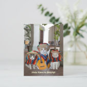 Funny Cats Feliz Cinco de Mayo Briefkaart (Staand voorkant)