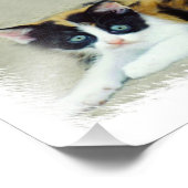 Funny Cats Foto Afdruk (Hoek)