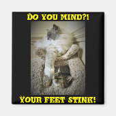 Funny Cats Fridge Magnet (Voorkant)