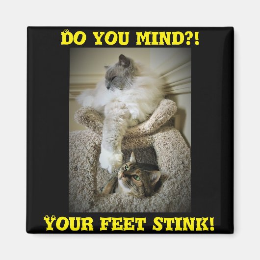 Funny Cats Fridge Magnet (Voorkant)