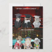 Funny Cats  Graduation Party nodigt uit Kaart (Voorkant)