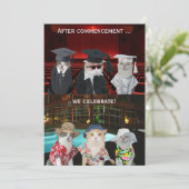 Funny Cats Graduation Party nodigt uit Kaart (Staand voorkant)