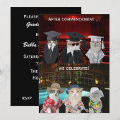 Funny Cats Graduation Party nodigt uit Kaart (Voorkant / Achterkant)