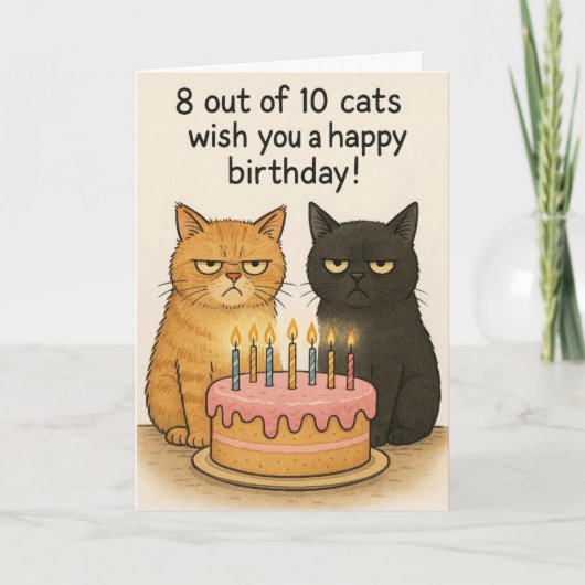 Funny cats Happy Birthday card  Kaart (Voorkant)