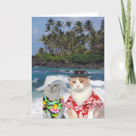 Funny Cats Hawaiian Valentijn Feestdagen Kaart
