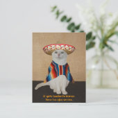 Funny Cats in Sombreros voor vun of leer Briefkaart (Staand voorkant)