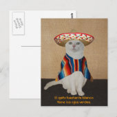 Funny Cats in Sombreros voor vun of leer Briefkaart (Voorkant / Achterkant)