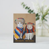 Funny Cats in Sombreros voor vun of leer Briefkaart (Staand voorkant)
