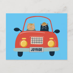 Funny Cats Joyride in Cat Car Briefkaart