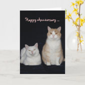 Funny Cats Jubileum Kaart (Gele Bloem)