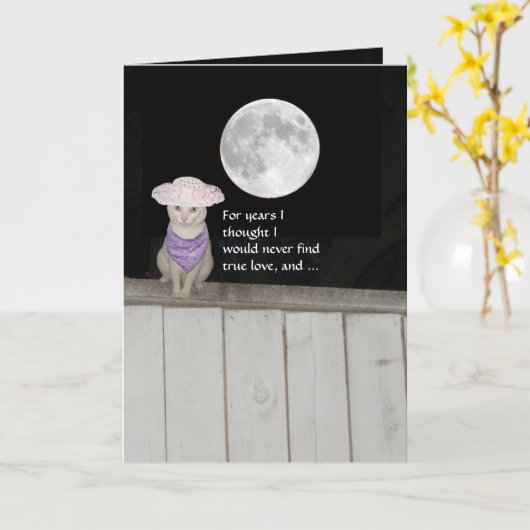 Funny Cats Jubileum voor mannen Kaart (Gele Bloem)