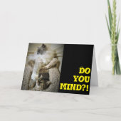 Funny Cats, kaart (Voorkant)