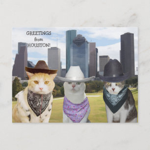 Funny Cats/Katten Greetings uit Houston Briefkaart