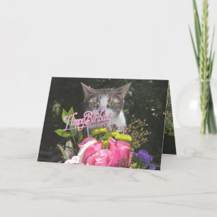 Funny Cats/Katten Happy Birthday Estranged Couple Kaart