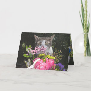 Funny Cats/Katten Happy Birthday uit ons huis Kaart