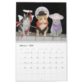 Funny Cats/Katten Kalender (Feb 2026)