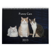 Funny Cats/Katten Kalender (Hoes)