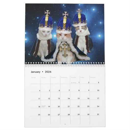 Funny Cats/Katten Kalender (Jan 2026)