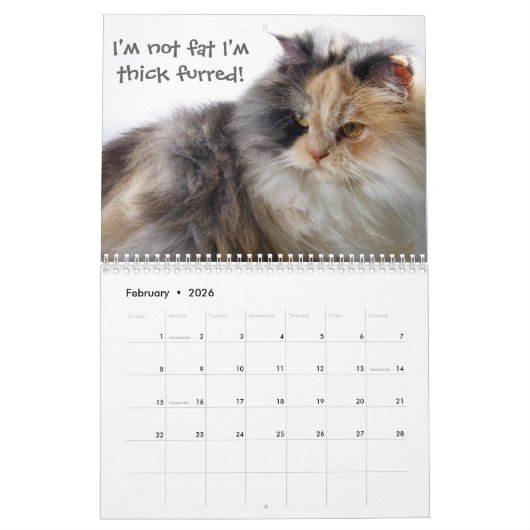 Funny Cats met dankbaarheid Kalender (Feb 2026)