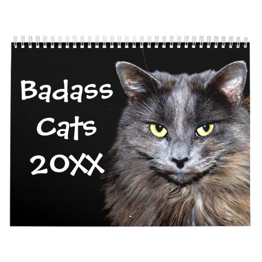 Funny Cats met dankbaarheid Kalender (Hoes)