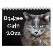 Funny Cats met dankbaarheid Kalender (Hoes)