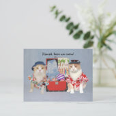 Funny Cats on Cruise Briefkaart (Staand voorkant)