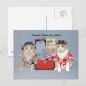 Funny Cats on Cruise Briefkaart (Voorkant / Achterkant)