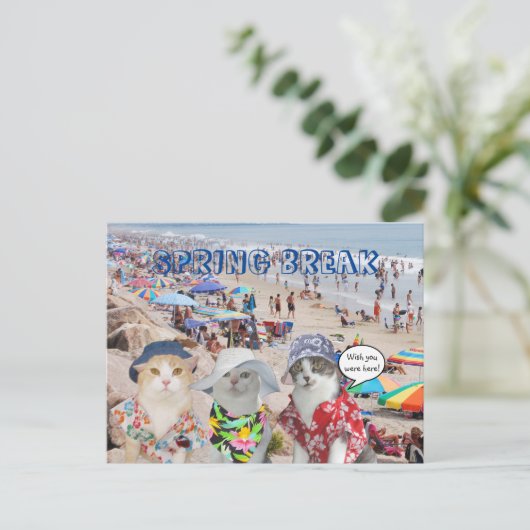Funny Cats on Spring Break Briefkaart (Staand voorkant)